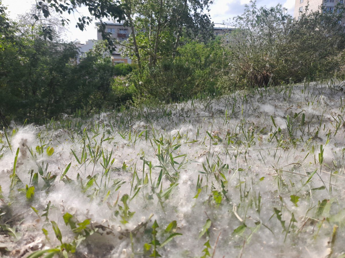 Фото: автора