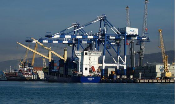     Фото: «Новорослесэкспорт»