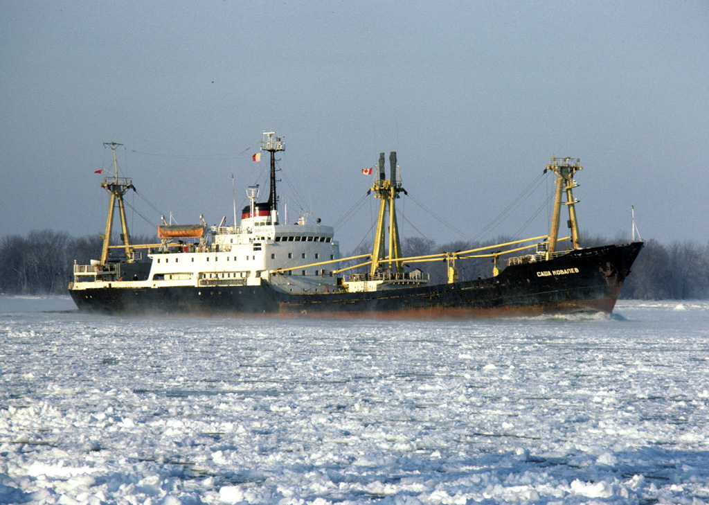 Яндекс картинки. Свободный доступ