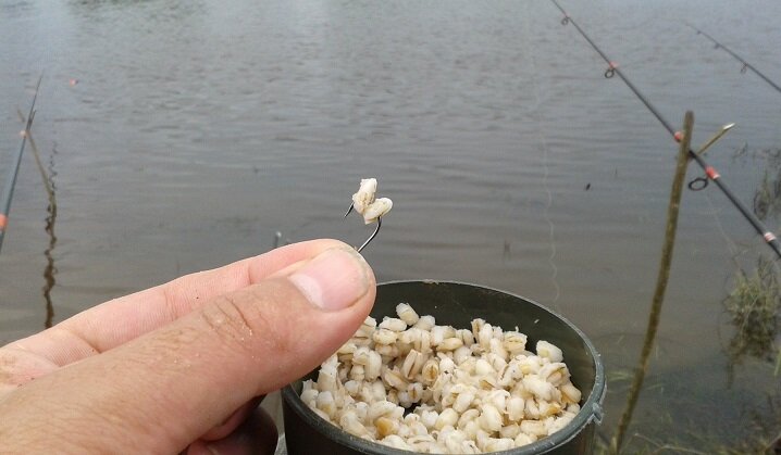 Уловистая перловка - это отличная приманка для ловли леща. 