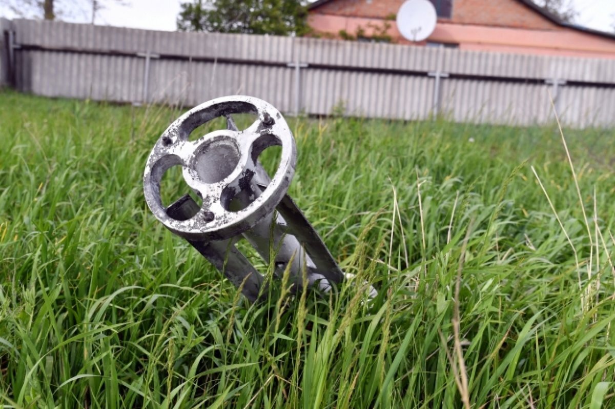    Активистка Калдикотт указала на опасность кассетных бомб для мирных граждан