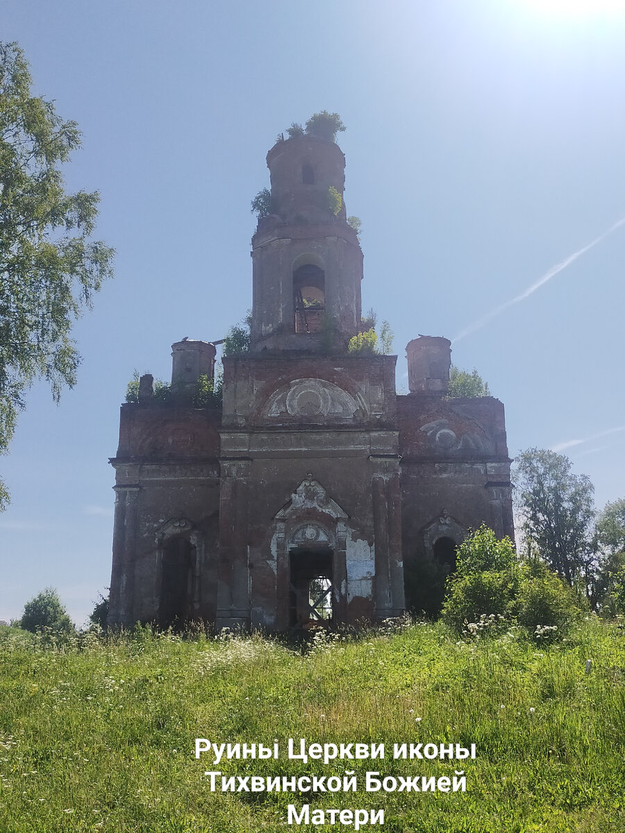 Фото автора.