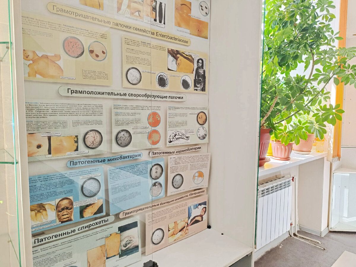 Восточно-Сибирский музей микробиологии