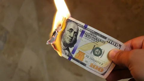 Доллары горят лучше чем танки и самолеты!!!