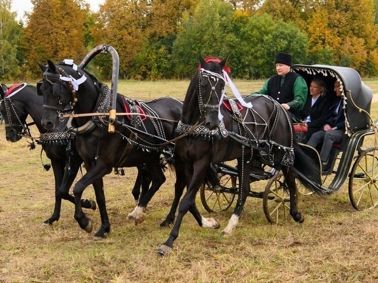     Фото: пресс-службы калужского правительства