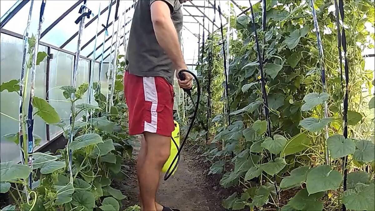 Источник:  stroiteh-msk.ru