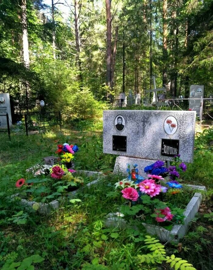 Плита, цветочки. Все как у людей.)