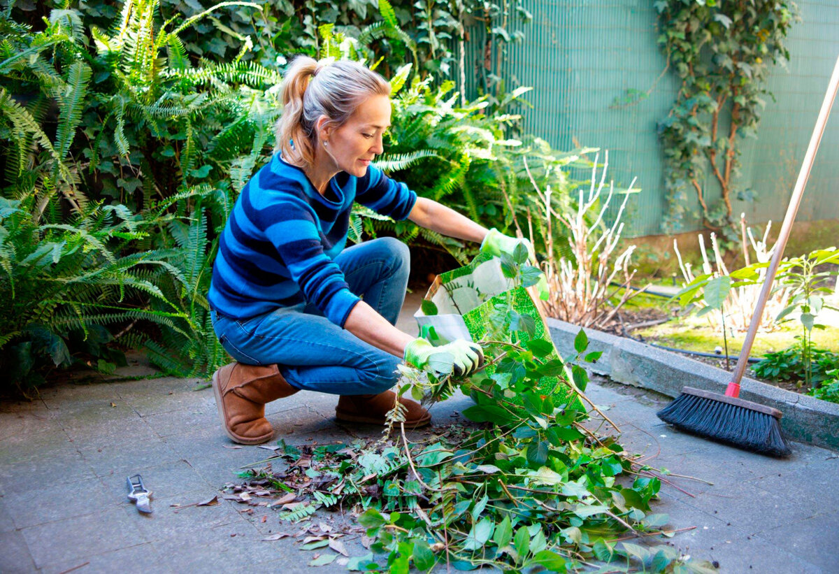 Правила уборки сада: от листьев до мусора