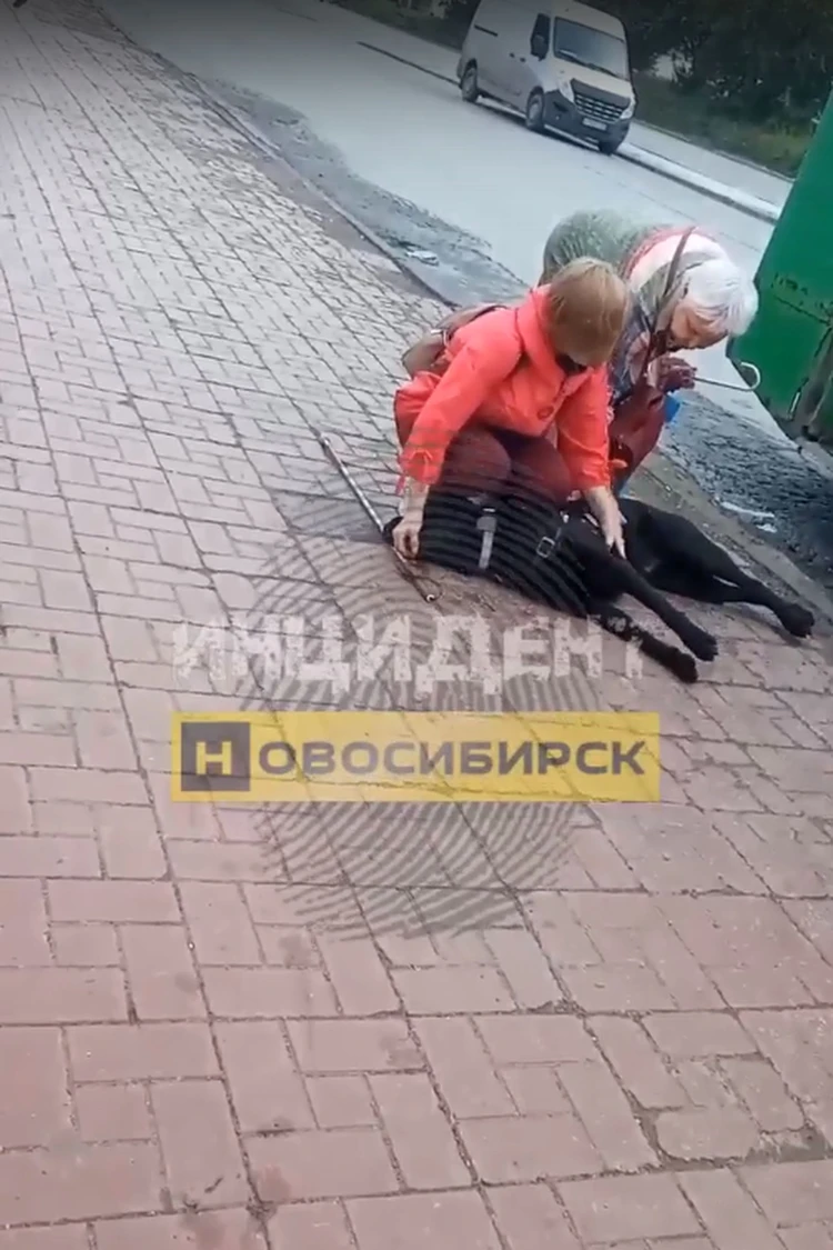 скриншот видео "Инцидент Новосибирск"