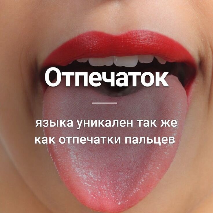 Строение костей организма