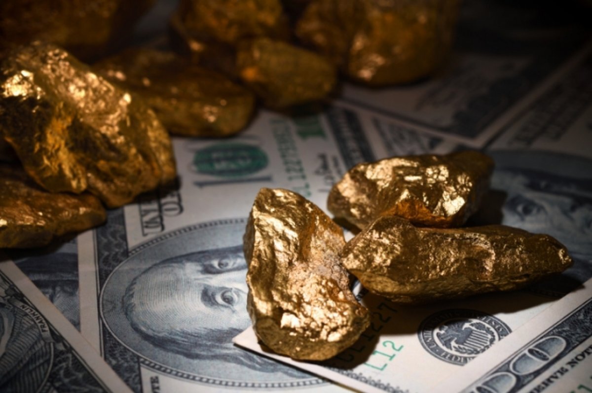    «Желаем ей быстрой гибели».