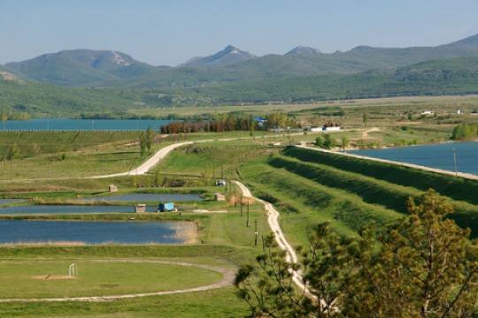    Вино, крепленое бензином