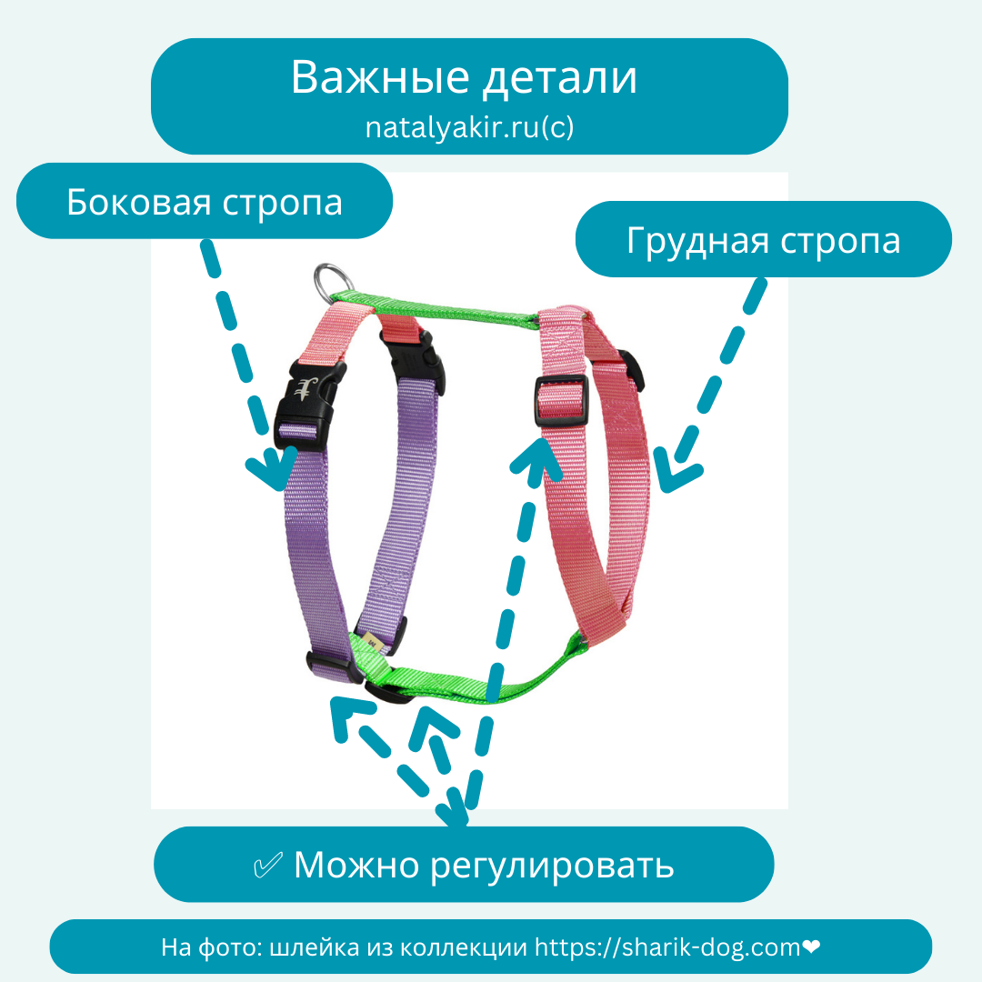 Анатомичес­кие шлейки staya