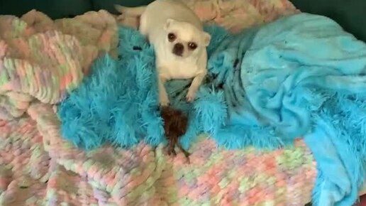 Татьяна - понемногу обо всем. | Мне кажется ее подставили. | Дзен