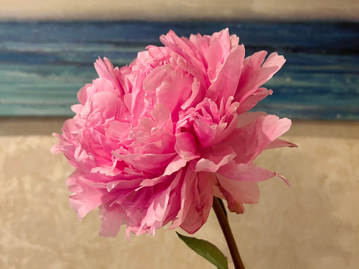 Фото из личного архива 