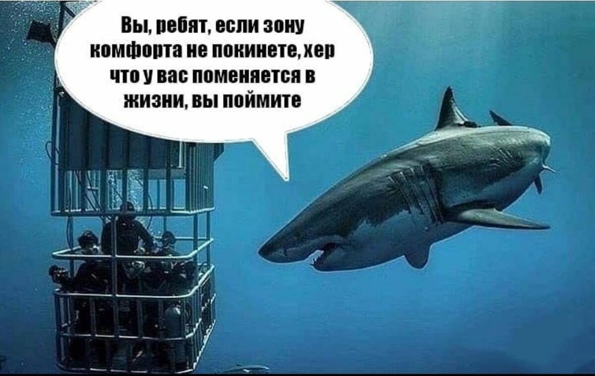 Картинка взята из открытых источников для целей иллюстрации.