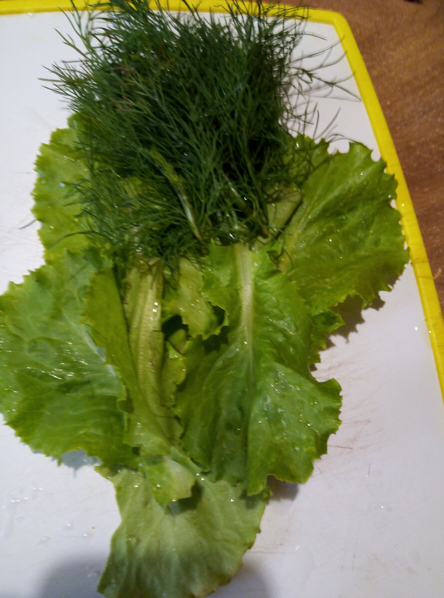 Зелень со своего огорода.