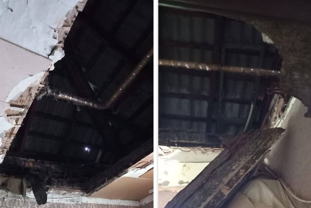    Фото: Предоставлено "АиФ-Дальинформ" Анной Исаевой