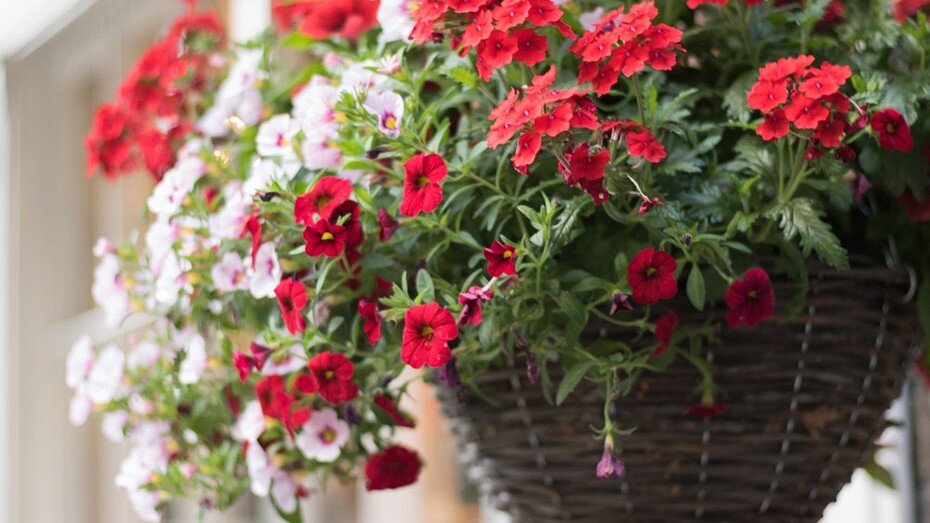 ShutterStock/Fotodom.ru 