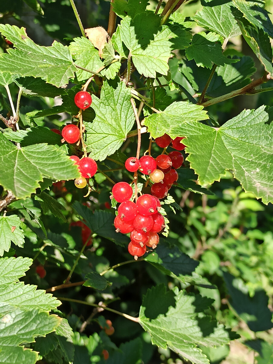 Личный архив