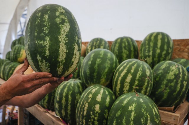    Можно ли проверить спелость арбуза с помощью смартфона?