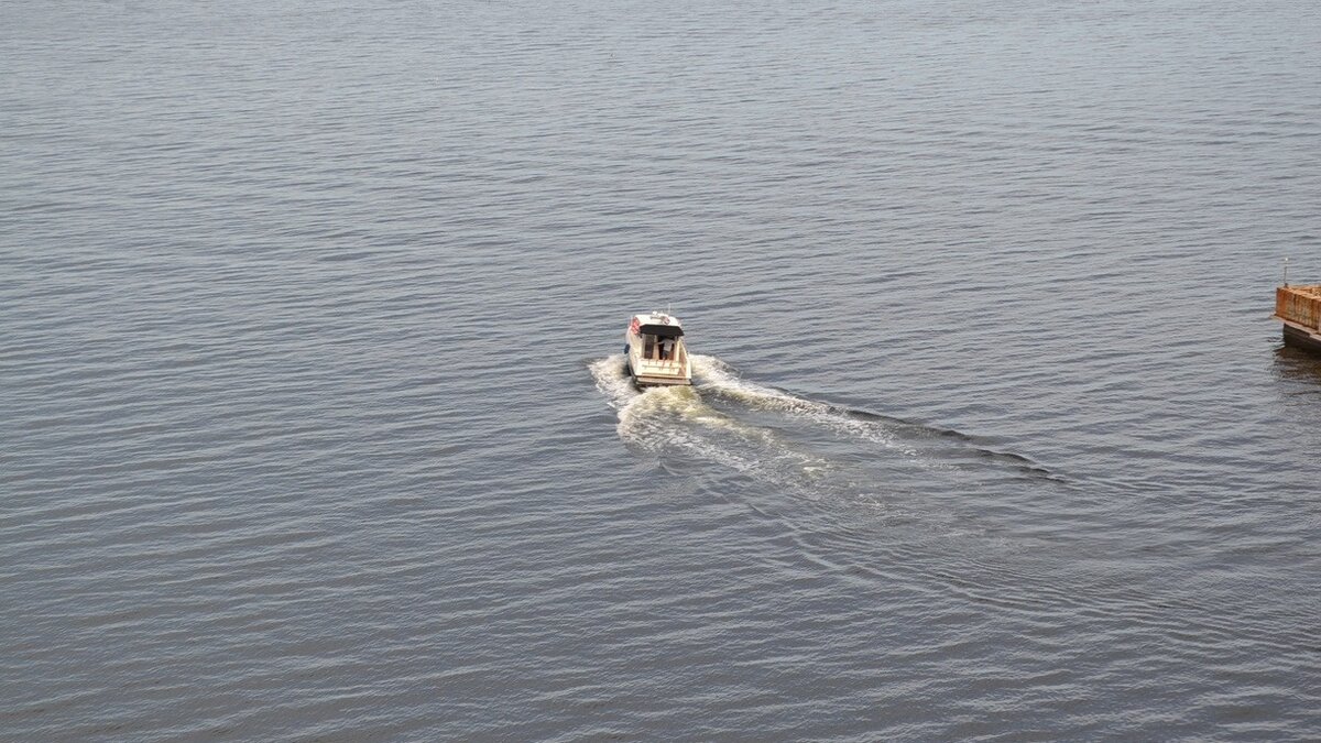     Сегодня стартует масштабный эстафетный заплыв «Россия вперед» в акватории залива Петра Великого