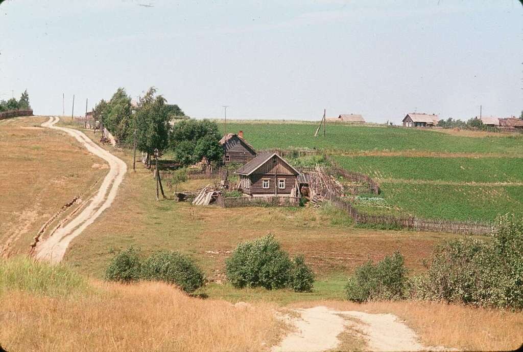    Фото Яндекс картинки Niekrashas