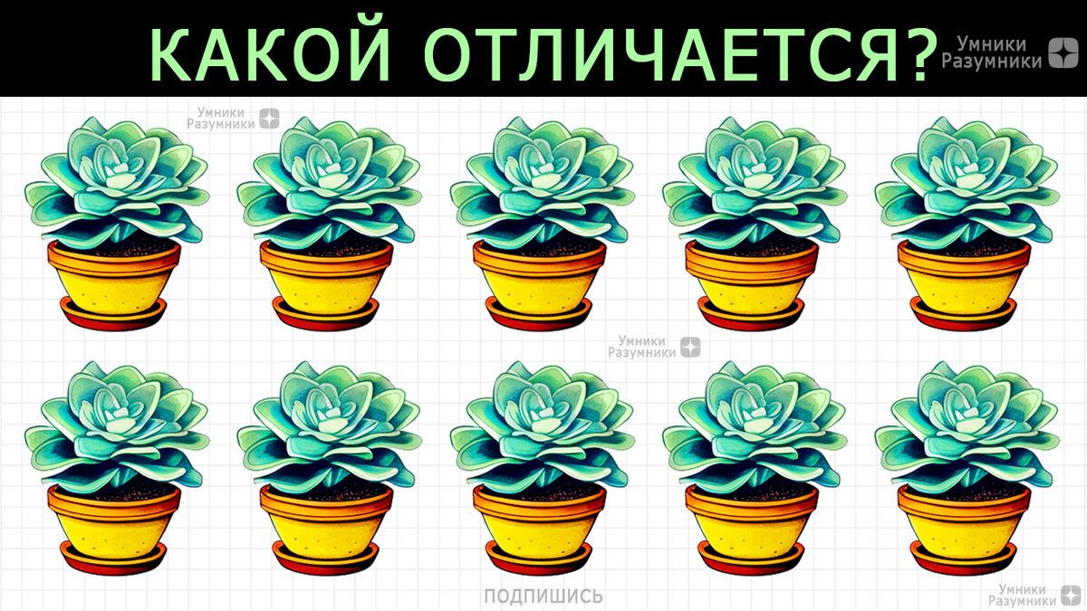 Какой горшок с цветком отличается?