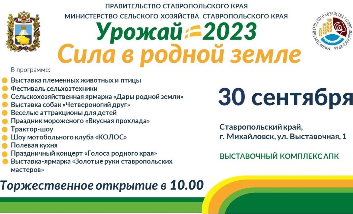 Михайловск 2023