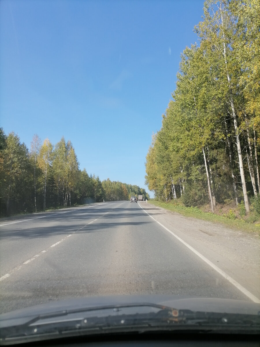 По дороге в город