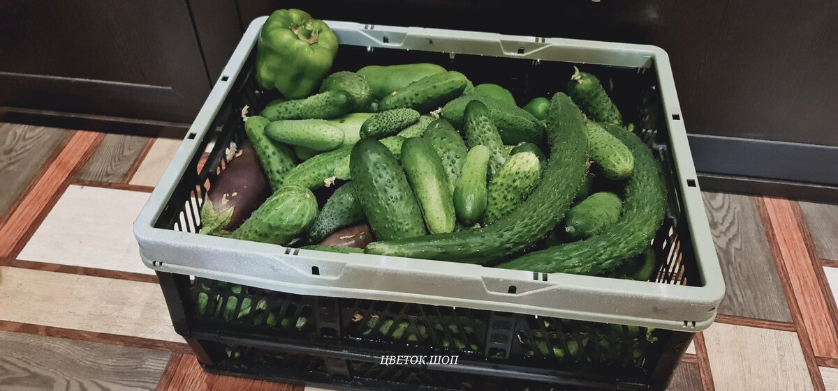 Последний урожай с улицы