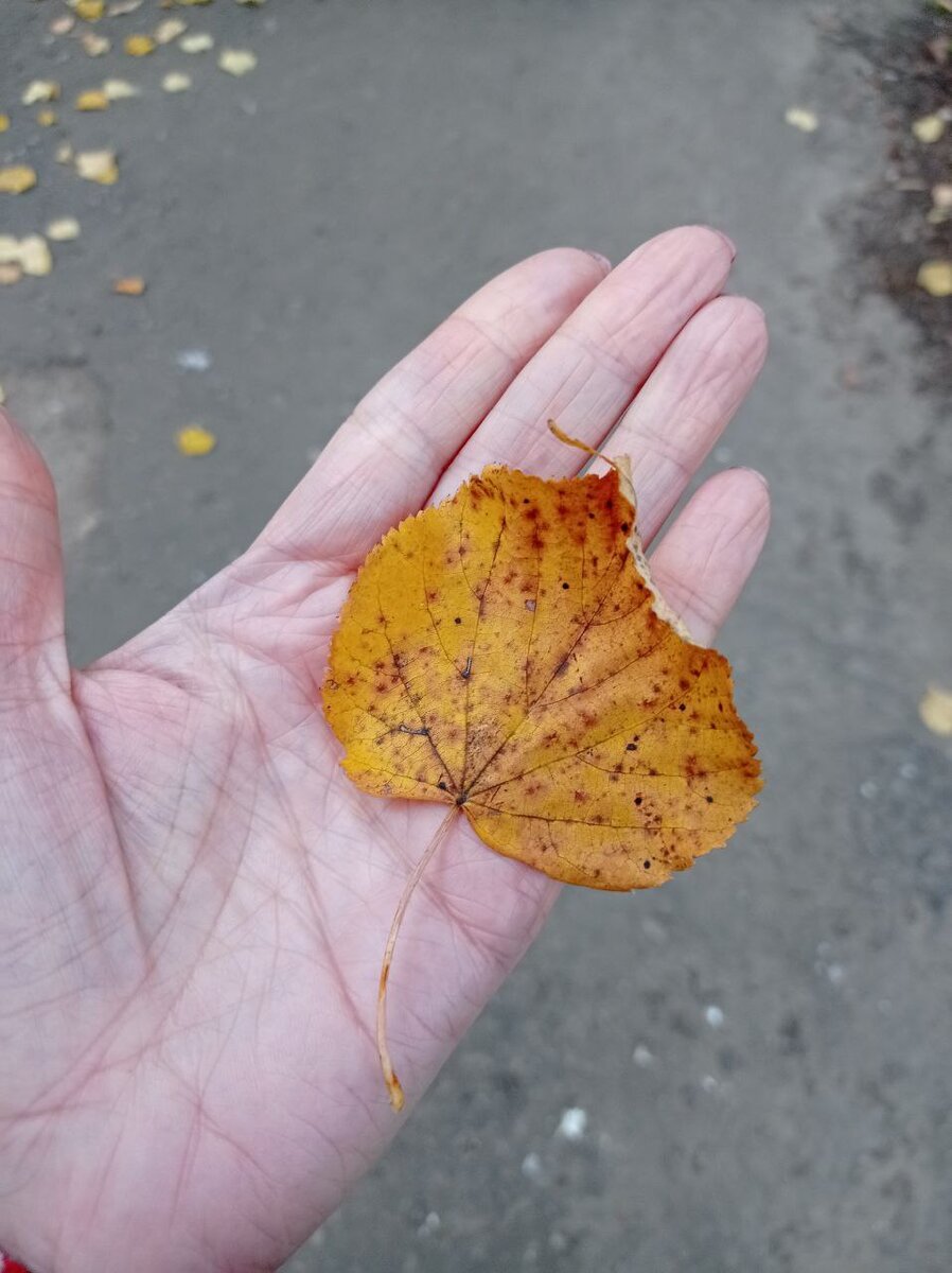 просто листок, который упал мне в руки