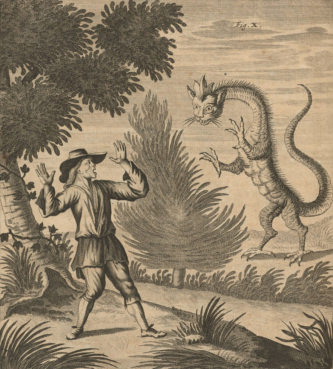 Гравюра Я. Шейхцера, "Альпийский дракон Татцельвурм", 1723 год