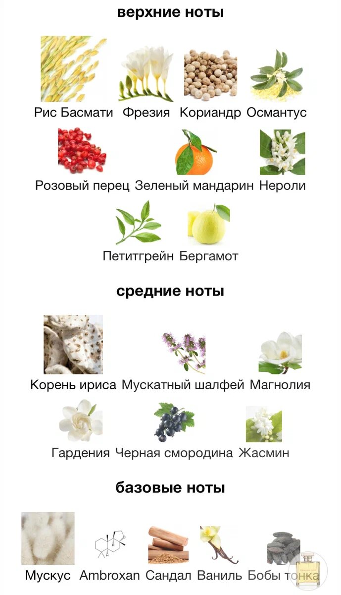 Ароматы с нотой ириса или ода величию, подстать королеве | Пс, нишу надо? |  Дзен