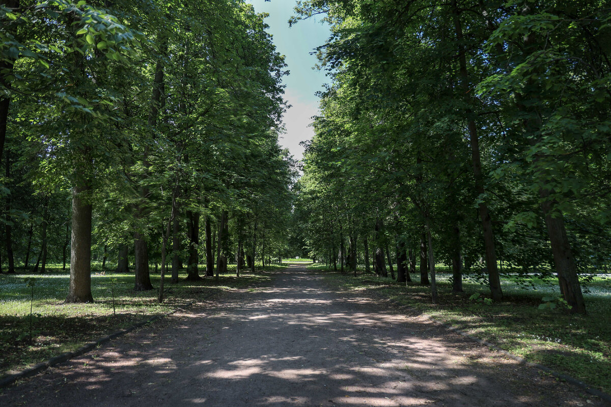 Тимирязевский парк