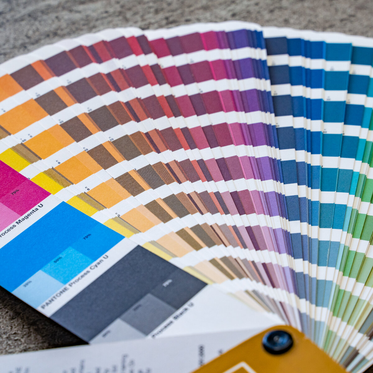 Примеры цветов системы Pantone