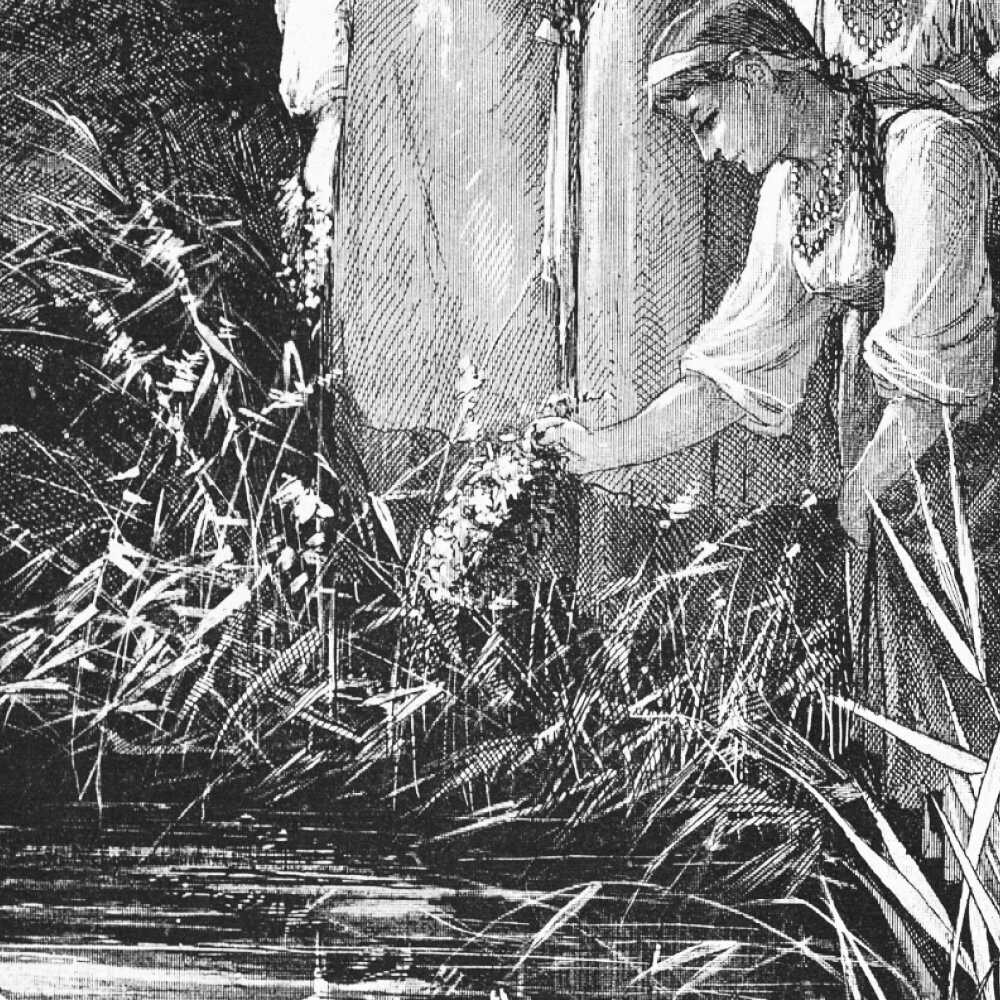  Фрагменты вырезки из печатного издания. Иванов день. Конец XIX – начало XX века.