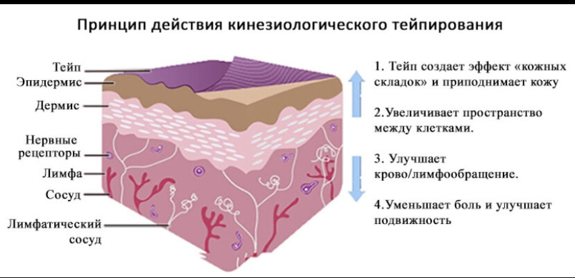 Тейпы для тела схемы