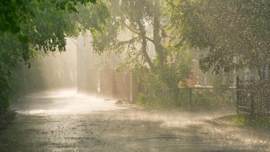    На Краснодарский край надвигается шторм на смену сильной жаре Анастасия Романова