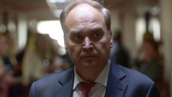    © Sputnik / Григорий Сысоев