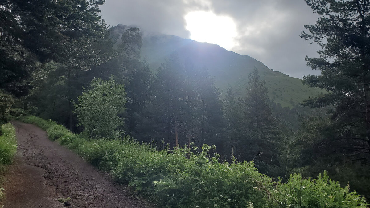 Погодное окно😆