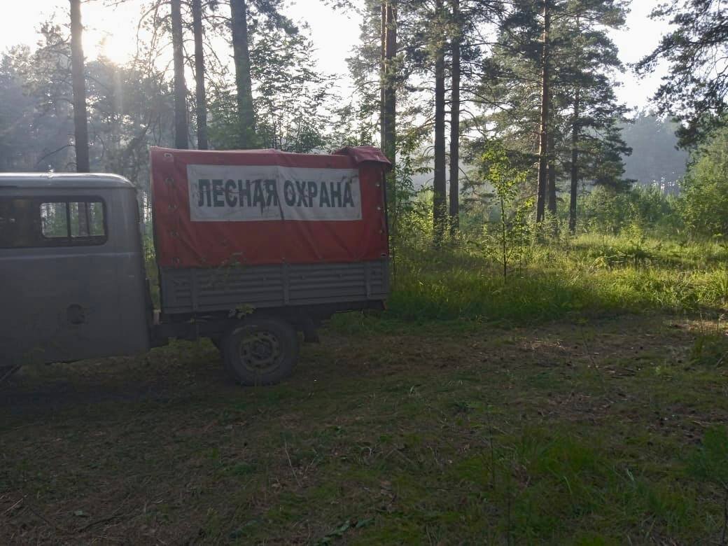 Фото: ГУ лесами Челябинской области.