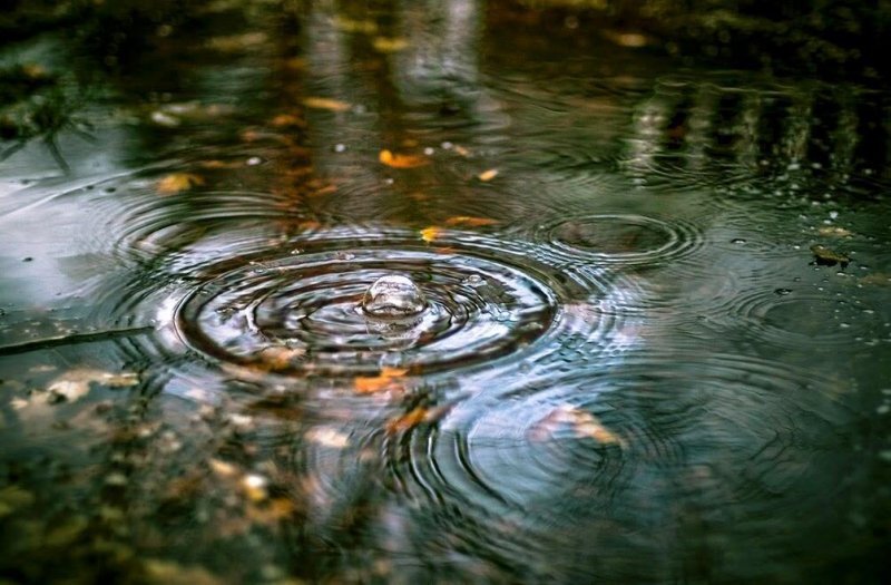 Альтернативные источники водоснабжения: сбор дождевой воды