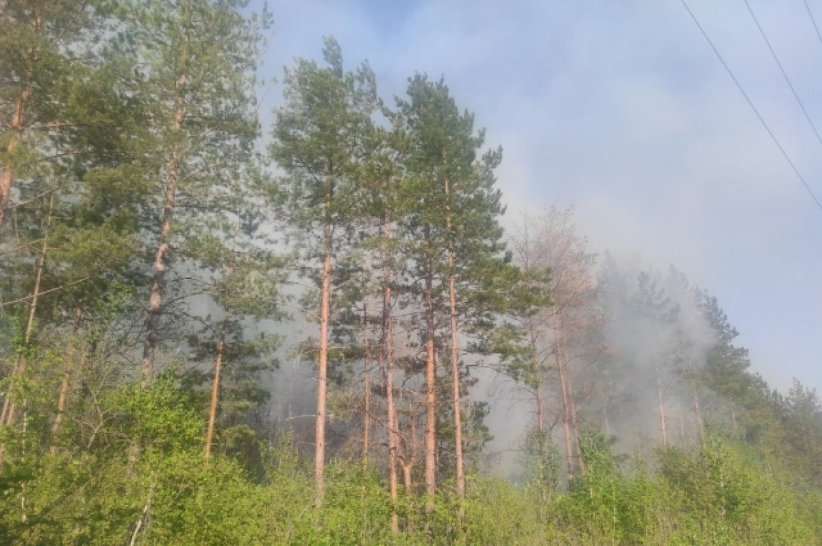    В Надымском районе определены места для возможной эвакуации из-за пожаров