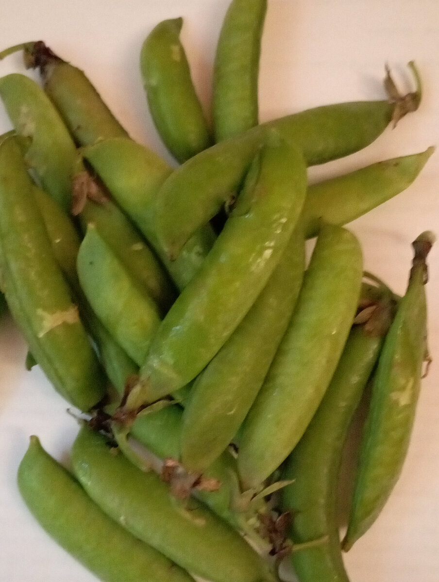 Сила - в знаниях