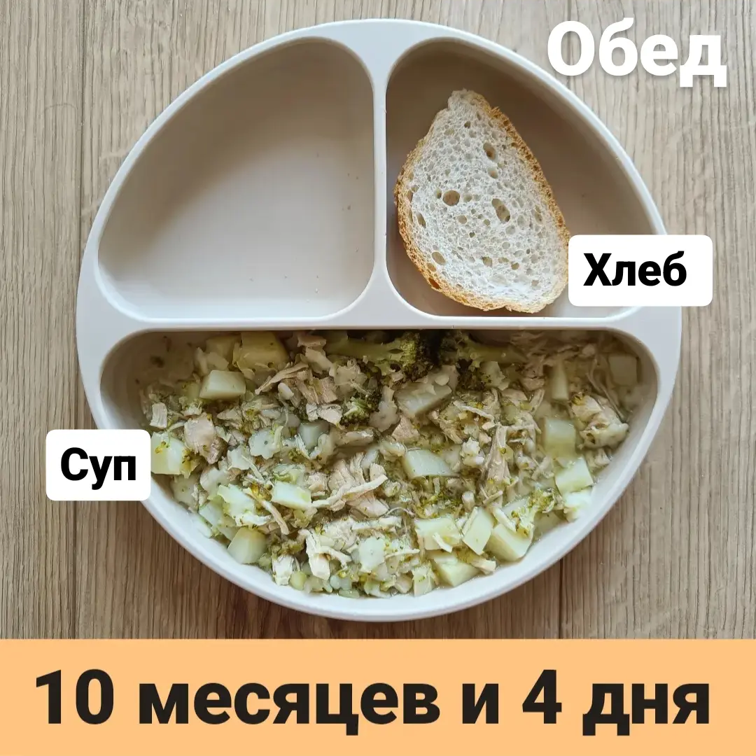 Пример тарелки в 10 месяцев 