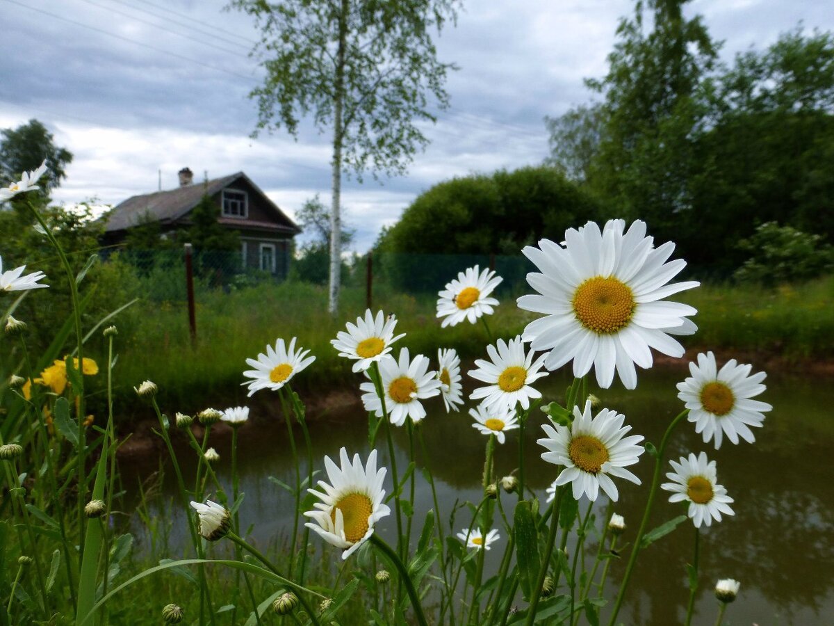 Из открытых интернет источников.