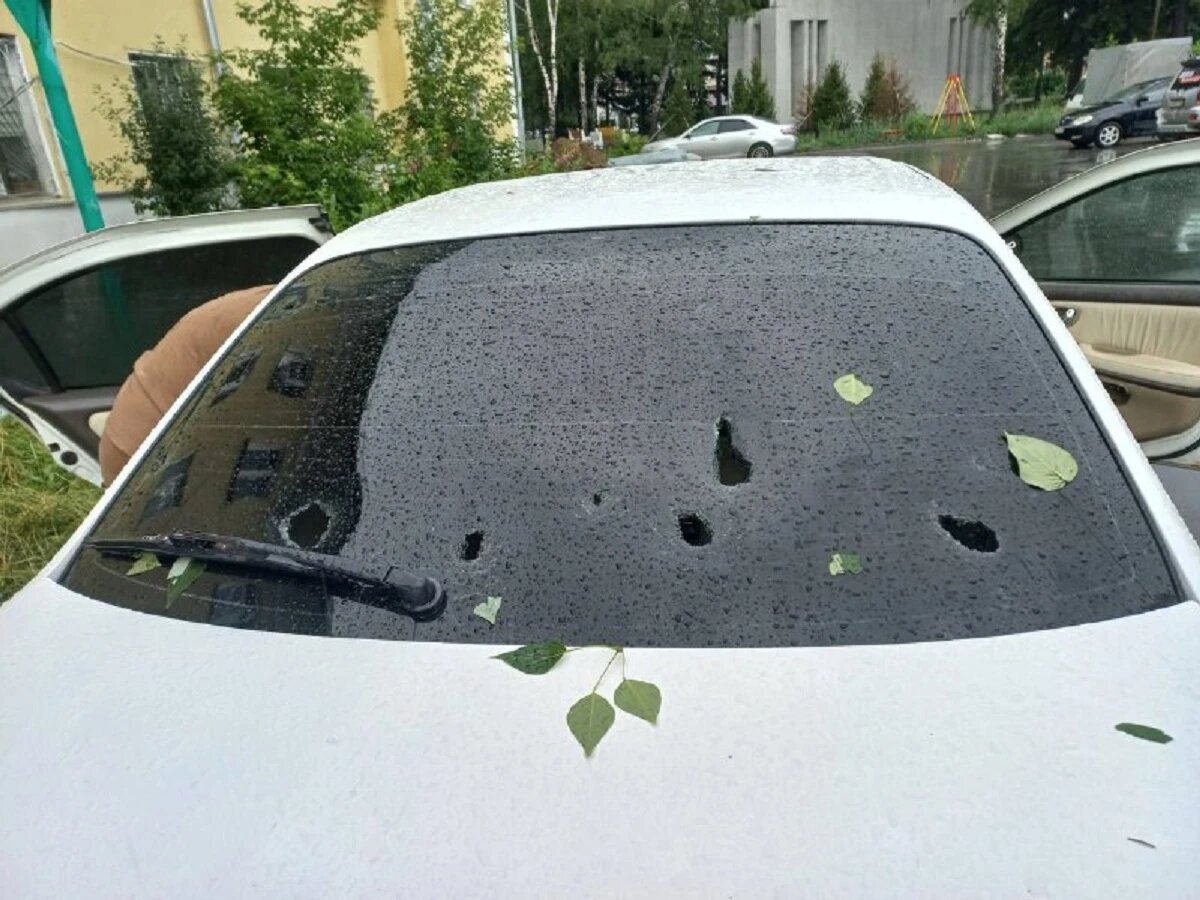 Фото: соцсети