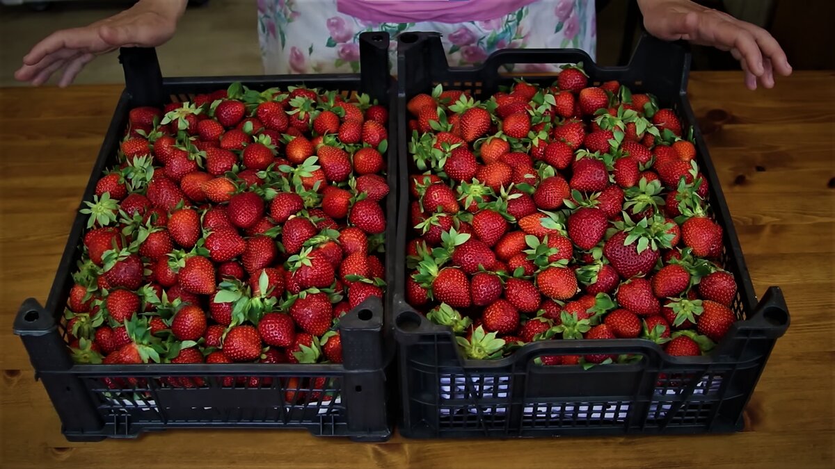 Рецепт клубничного варенья.