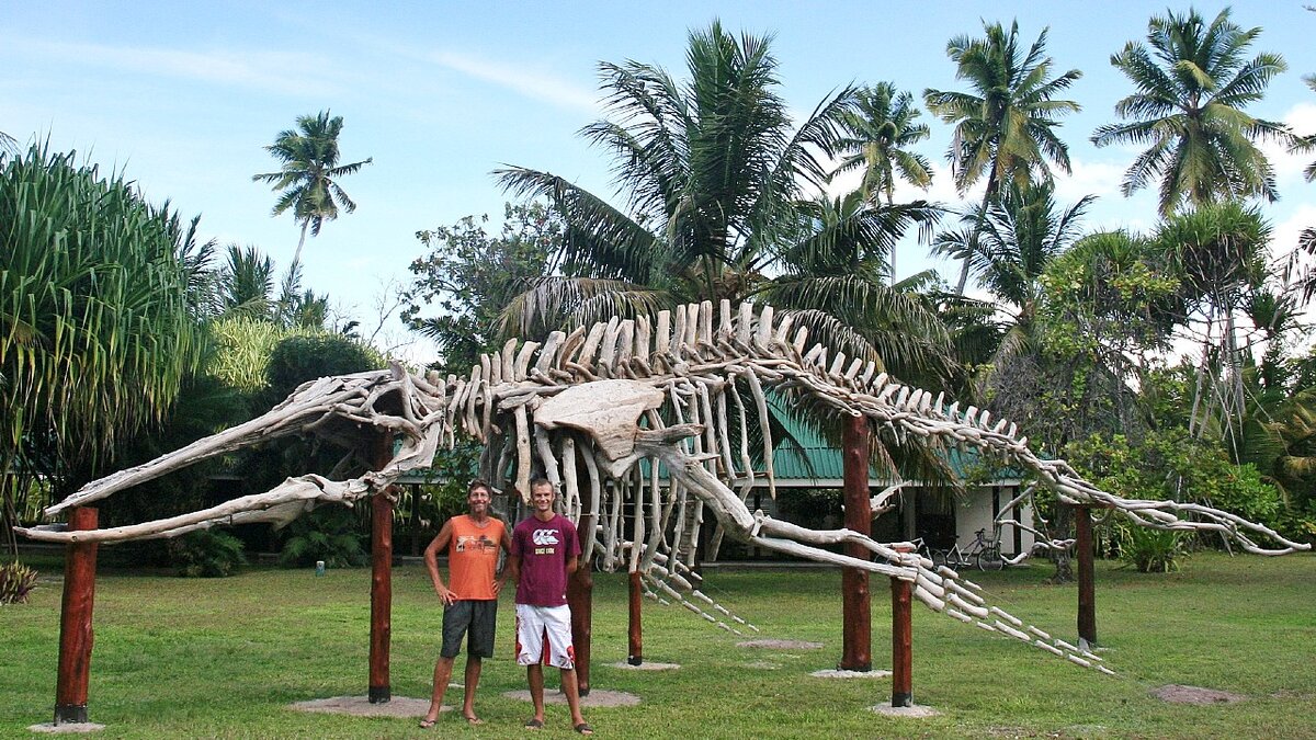 Тони Фредрикссон, источник openskywoodart.com